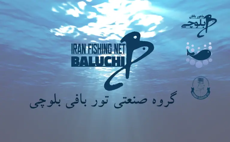 گروه صنعتی تور بافی بلوچی